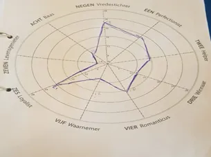 Enneagram met een ingevuld profiel